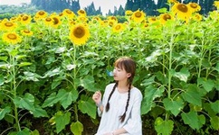 上课跳D突然被开到最大视频